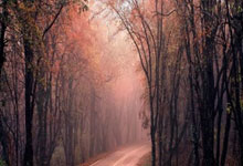 探索外汇论坛与天涯网的世界