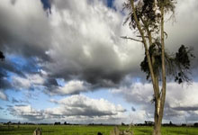 探索外汇论坛与天涯网的世界